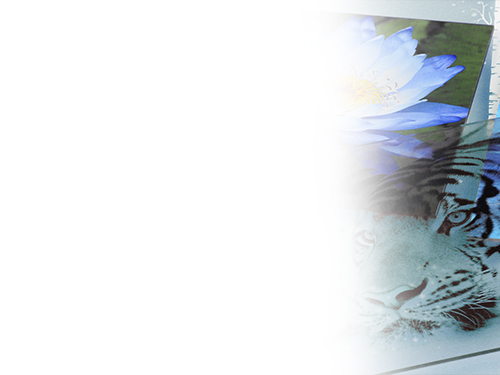 Не надо искать подрядчиков