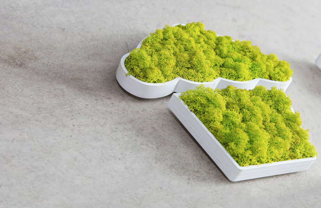 Геометрический