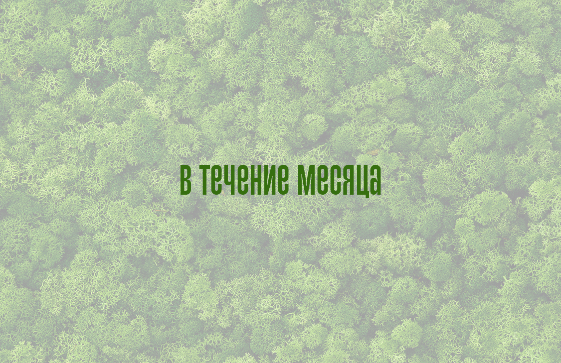 В течение месяца